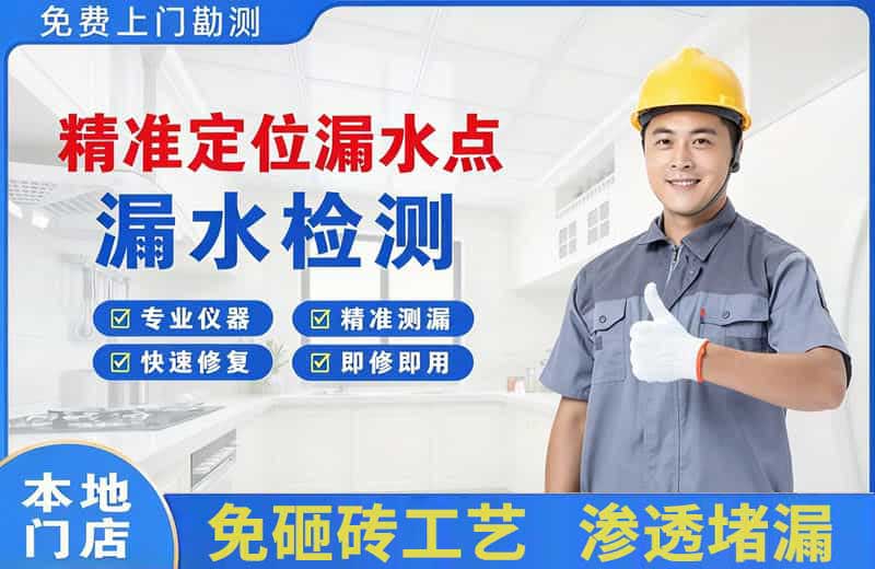 乃东精准测漏点